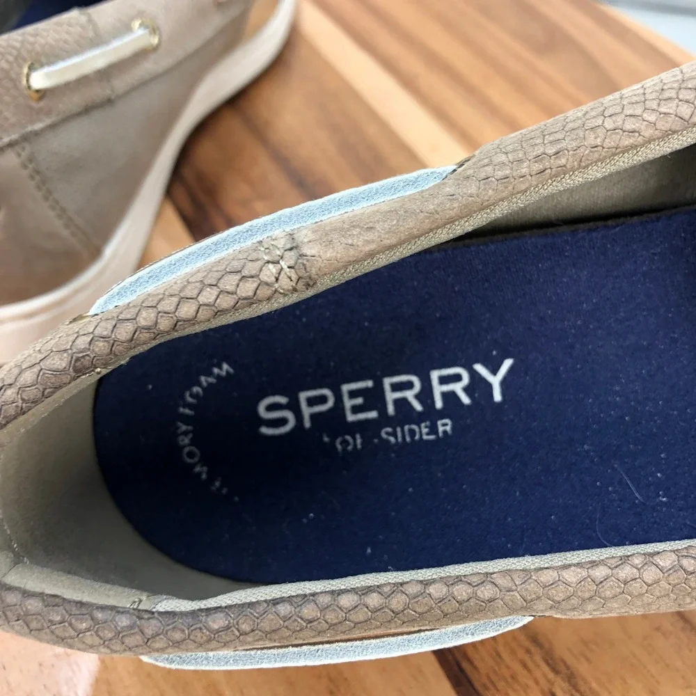 Sperry coastfish boat